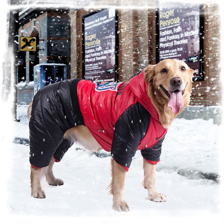 big dog jackets for winter