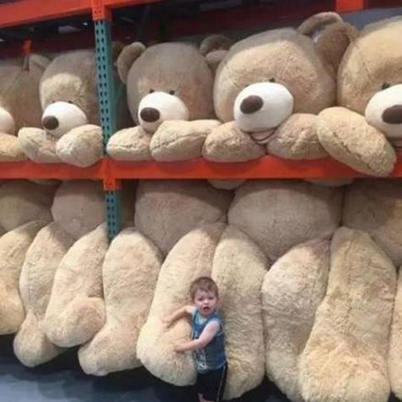 giant teddy bear shop near me