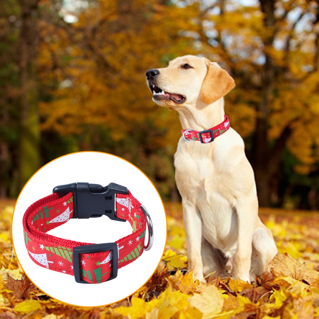 Immagini Di Natale Con Cani.Acquista Set Di Guinzaglio Cani Regalo Natalizio Di Natale Con Accessorio Regolabile Animali Domestici A 5 5 Dal Ewin24 Dhgate Com