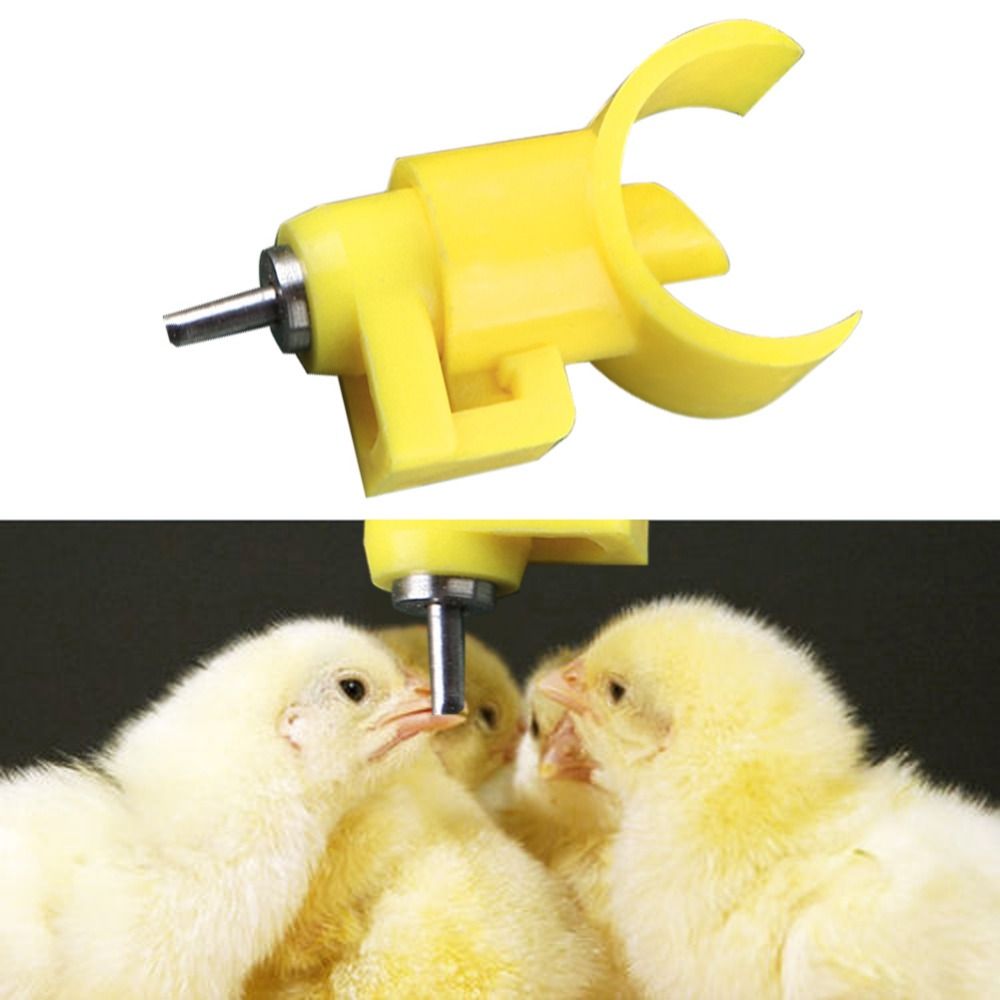 2020 Water Nipple Chicken Feeders Drinkers Poultry Chicken Feeding
