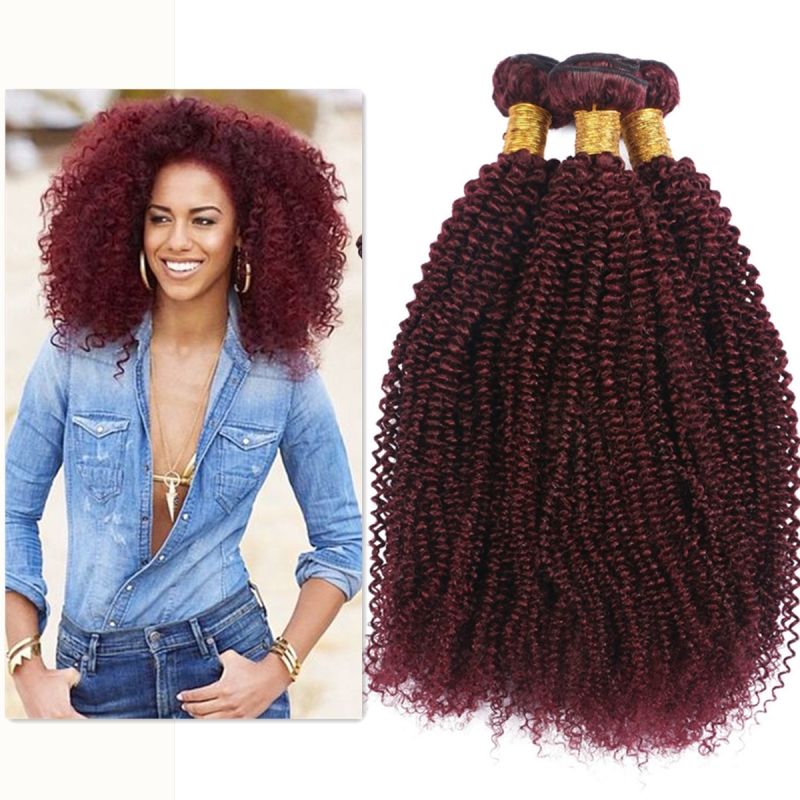 Brazilian Virgin 99j Afro Kinky Curly Hair Weaves For Black Woman
