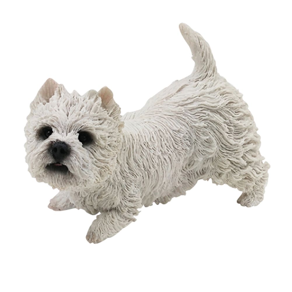large white terrier