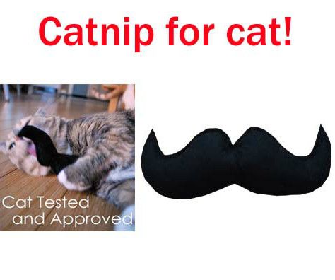 Acheter Livraison Gratuite Chat Pour Animaux De Compagnie Jouant Des Jouets Oreiller Avec Cataire Moustache Noir Blanc De 23 65 Du Chinamarket12 Fr Dhgate Com Acheter Livraison Gratuite Chat Pour Animaux De Compagnie Jouant Des Jouets Oreiller Avec Cataire Moustache Noir Blanc De 23 65 Du Chinamarket12 Fr Dhgate Com