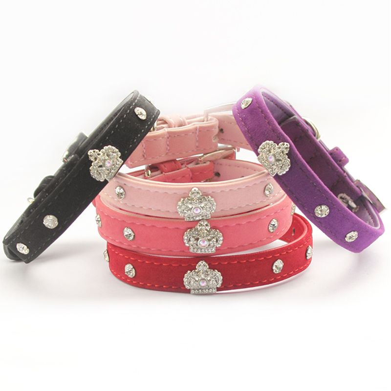 crown dog collar