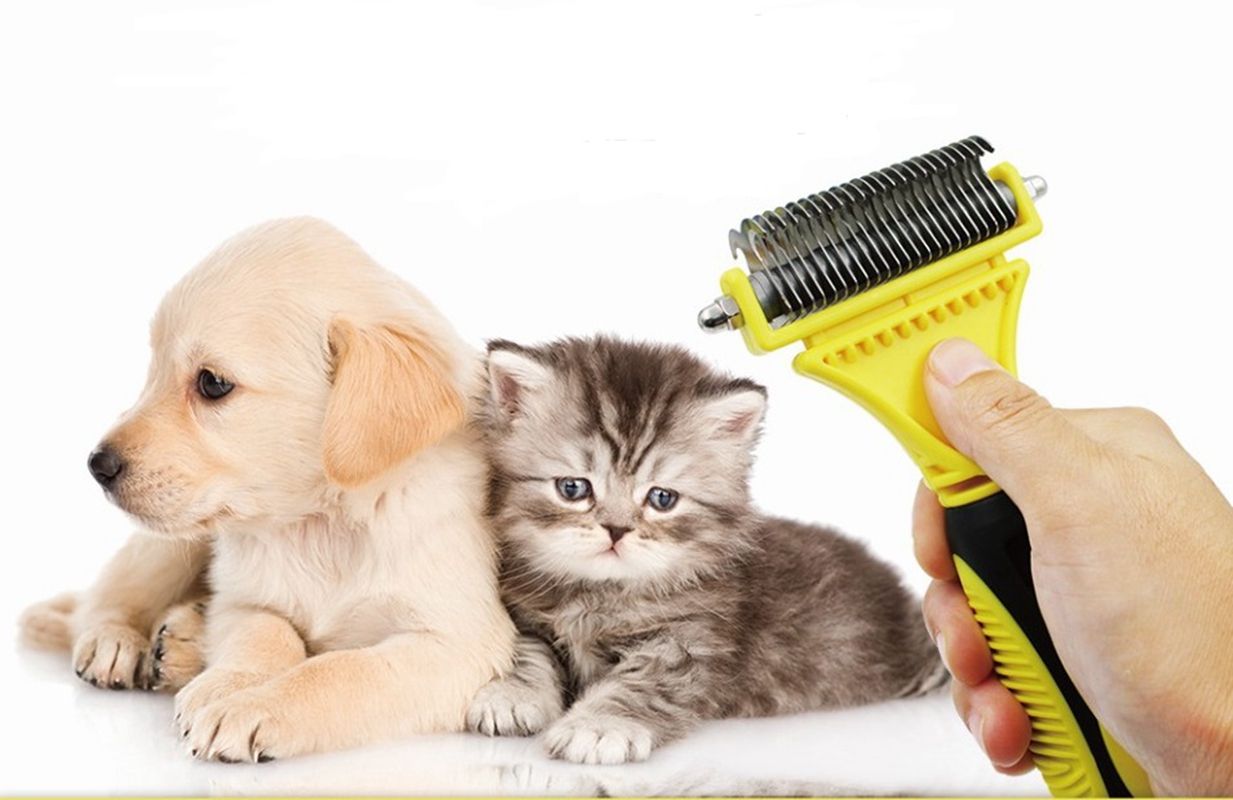 dematting comb for cats petsmart