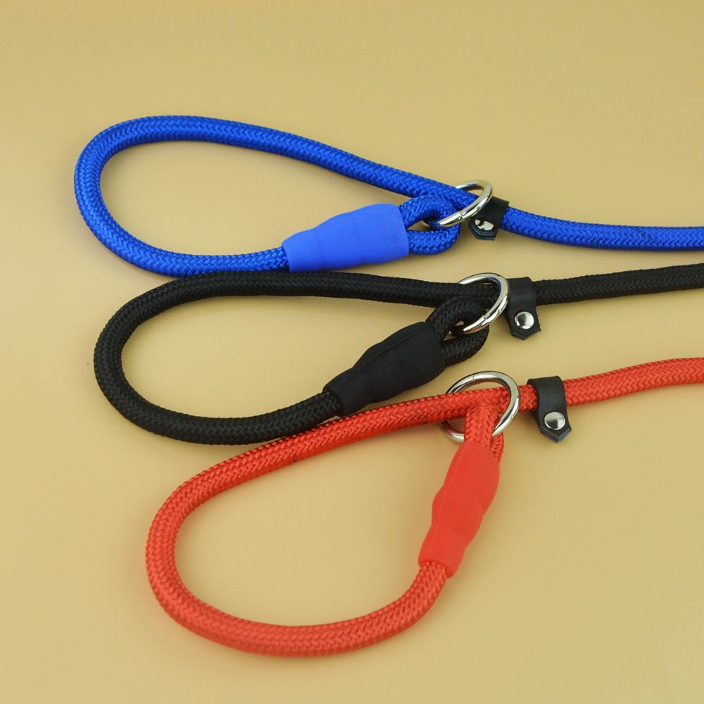 Shop Cesar Millan Leash Training UP TO 53 OFF