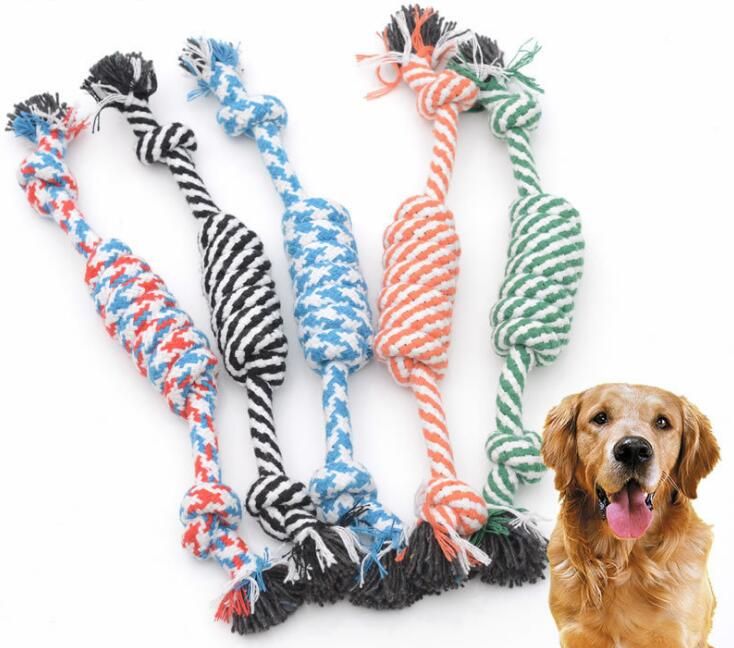 dog toy with rope