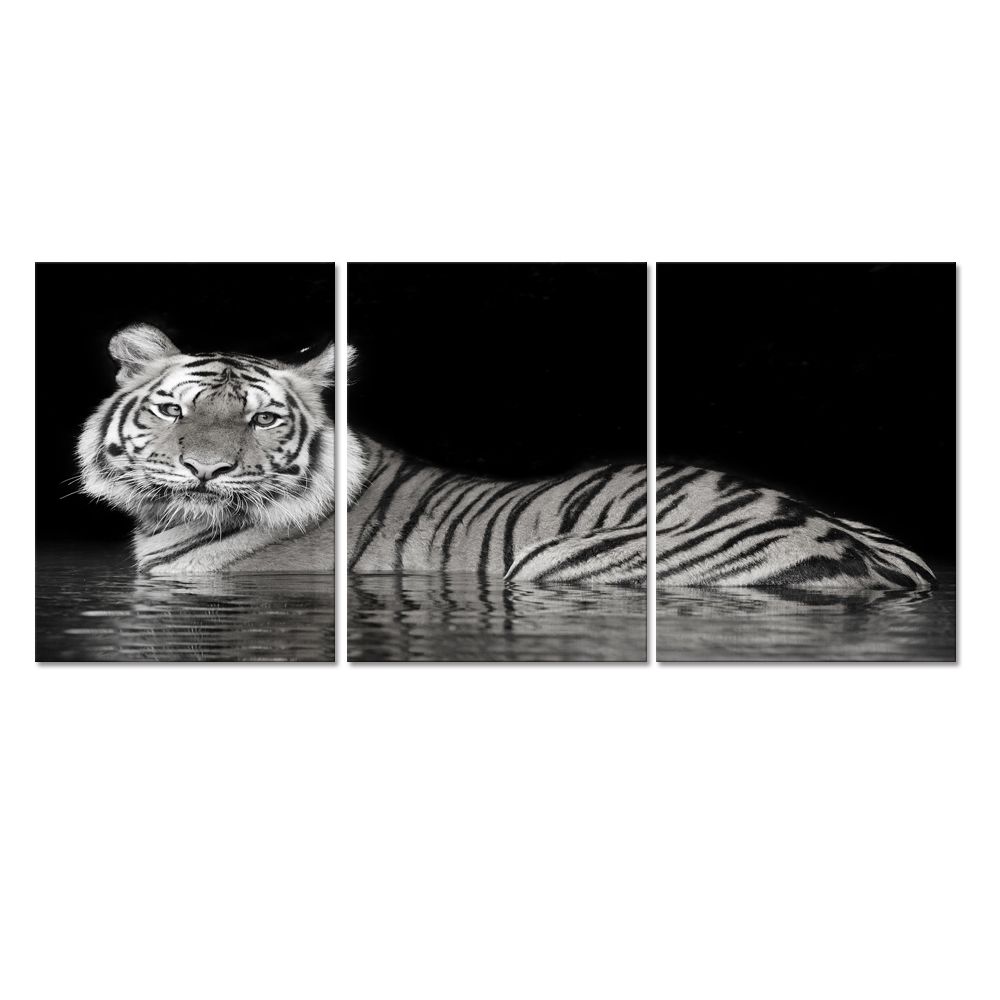 2020 Animal Canvas Wall Art White Tiger Picture Printed On Canvas Wall Decor Wild Life Painting Prints 3 Panels From Creativearts 13 07 Dhgate Com