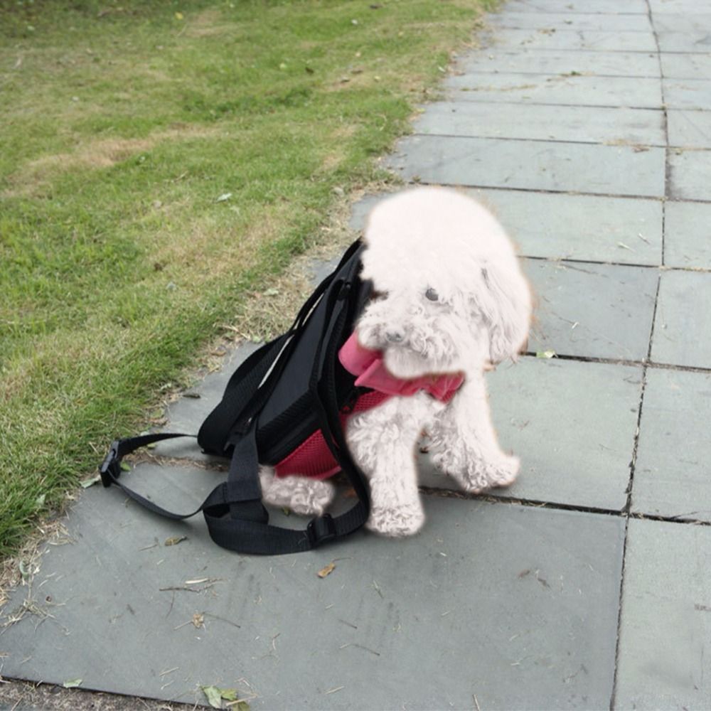 dog chest holder