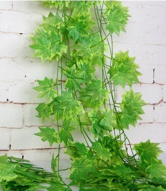 Green Maple Leaves