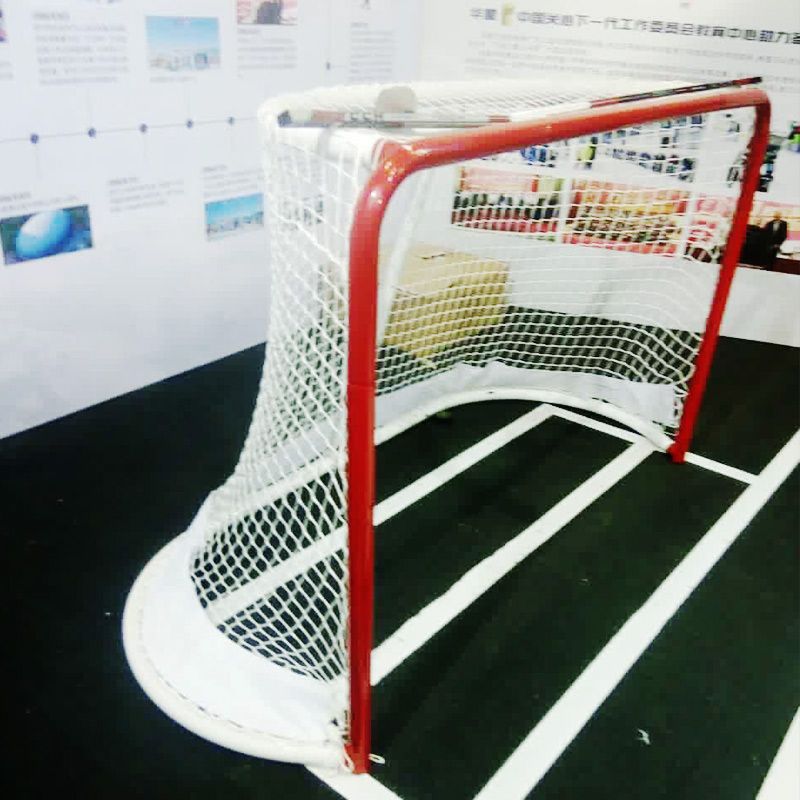 2021 Ice Hockey Net /Hockey Goal Goalice Hockey Goal Offering Hot Sale