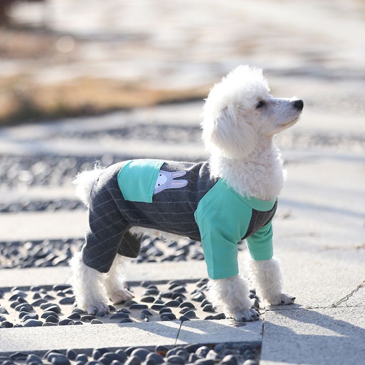 Wholesale dog clothes manufacturers Clearance