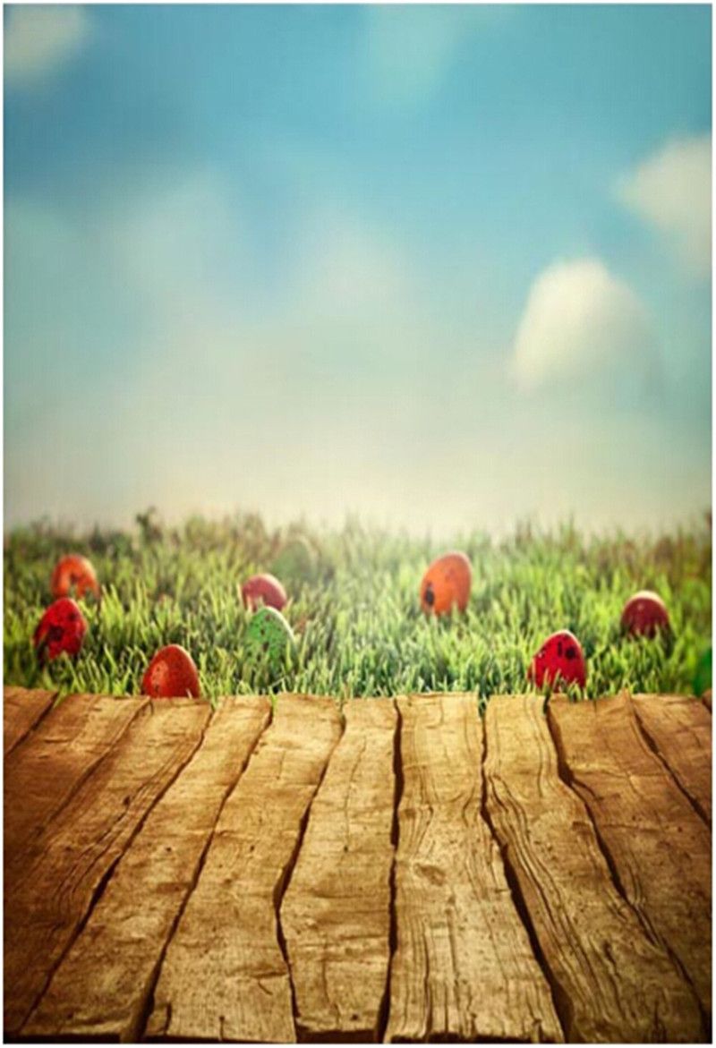 SZZWY Grass Photography Backdrops Children Vinyl Photo Studio Props Rainbow Background Wooden Floor 5x7FT QX039 SZZWY Grass Photography Backdrops Children Vinyl Photo Studio Props Rainbow Background Wooden Floor 5x7FT QX039