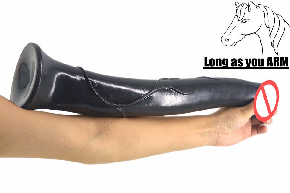 animal planet horse vagina animal planet horse vagina