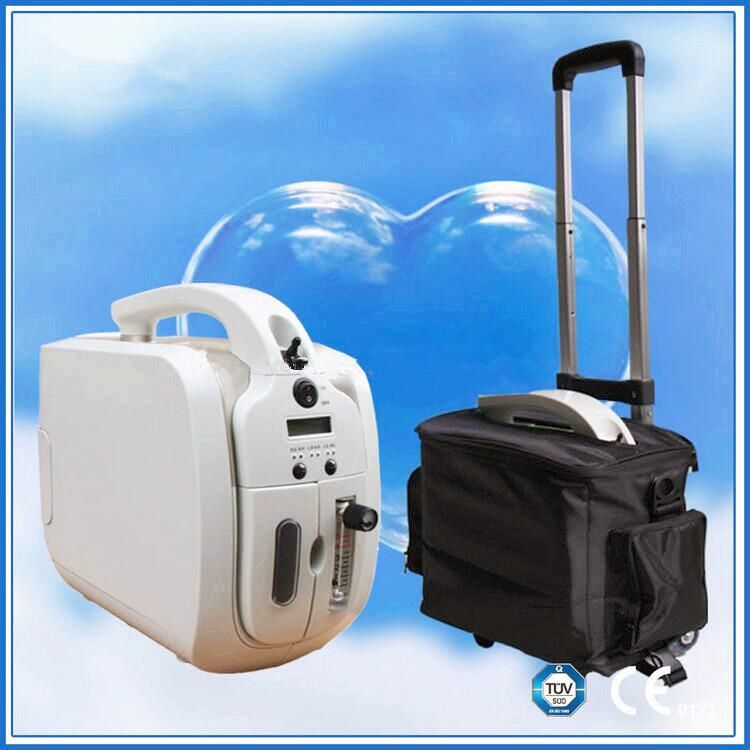 AC110V/220V/DC12V Oxygen Concentrator Portable Oxygen Generator For