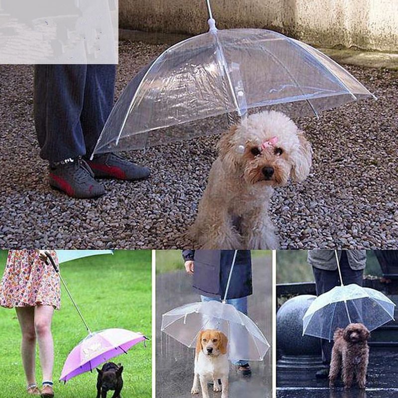 dog lead umbrella