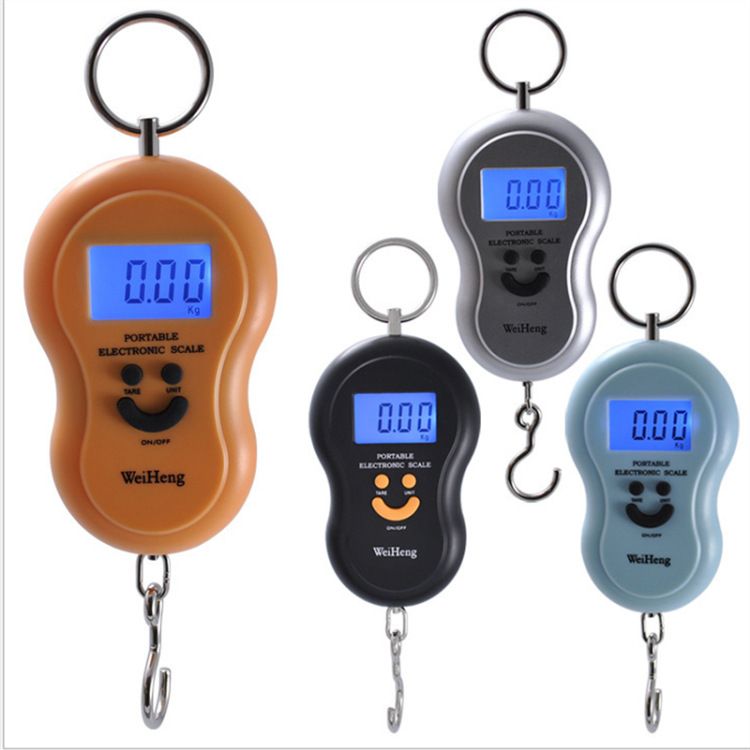 Portable 40kg//10g Electronic Hanging Fishing Digital Pocket Weight Hook Scale UK