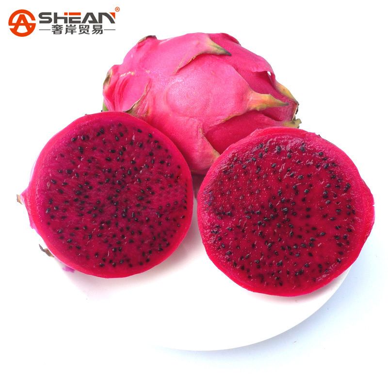 Tuplu Nadir Sari Pitaya Yellow Dragon Fruit Ejder Meyvesi Fidani Satin Al