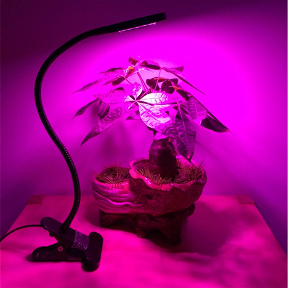 3 Mode Full Spectrum Adjule Dimmable 10w Led Grow Light Portable 3 Mode Full Spectrum Adjule Dimmable 10w Led Grow Light Portable Clip Plant Desk Lamp