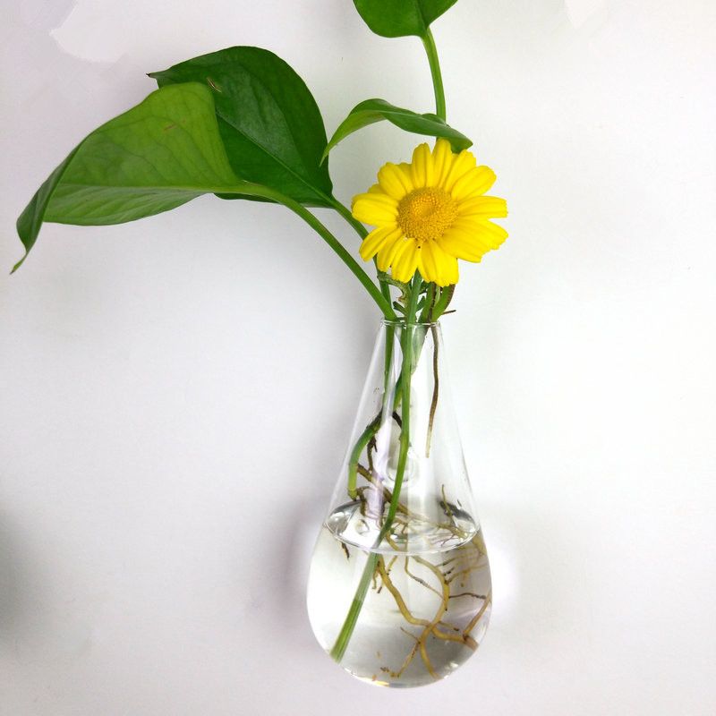 Clear Climbing Wall Glass Flower Vase Water Droplet Shape Air