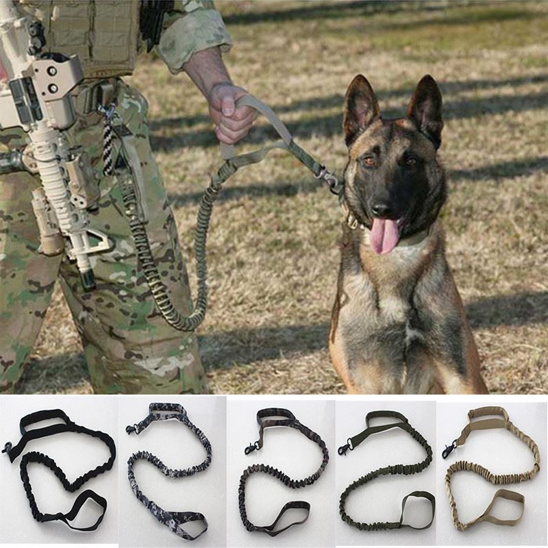 tactical dog shoes