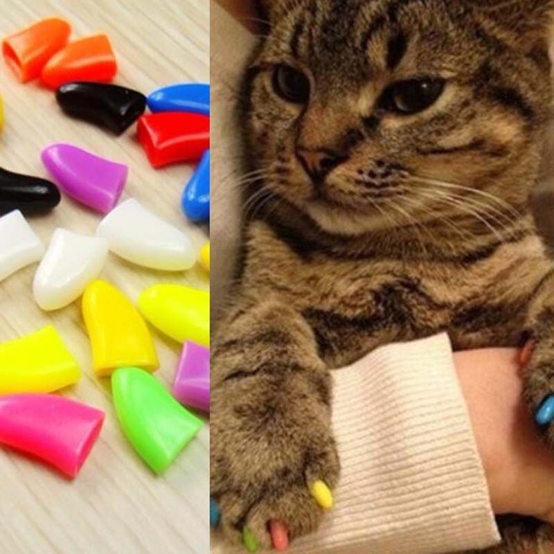 soft nail caps for cats