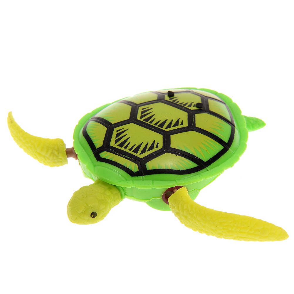 bath turtle toy