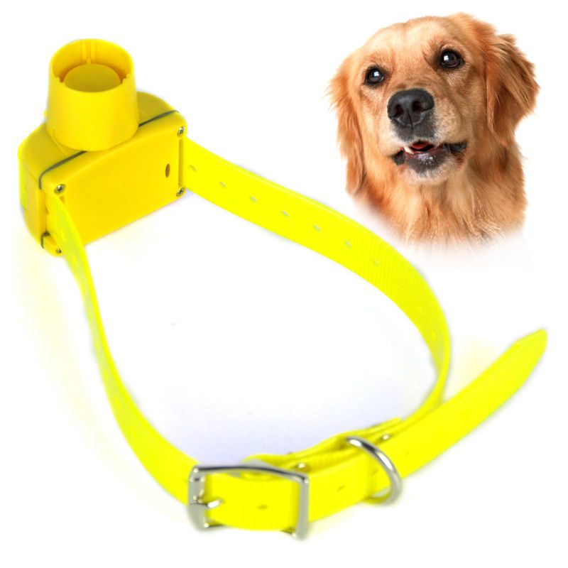 New Yellow Color Hunting Dog Collar 