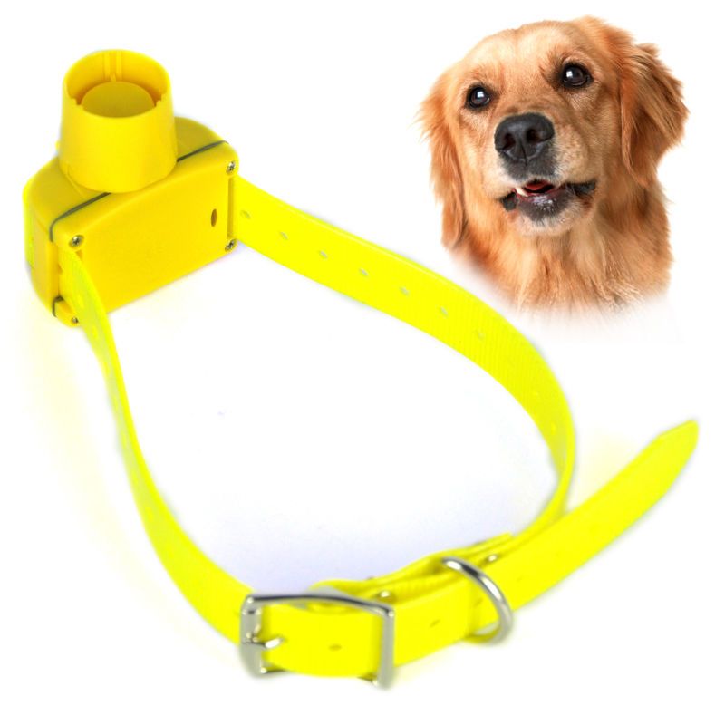 Acheter Nouveau Collier De Formation De Chien De Collier De Chien De Chasse De Couleur Jaune Imperméable Pour Les Petits Grands Chiens Moyens De