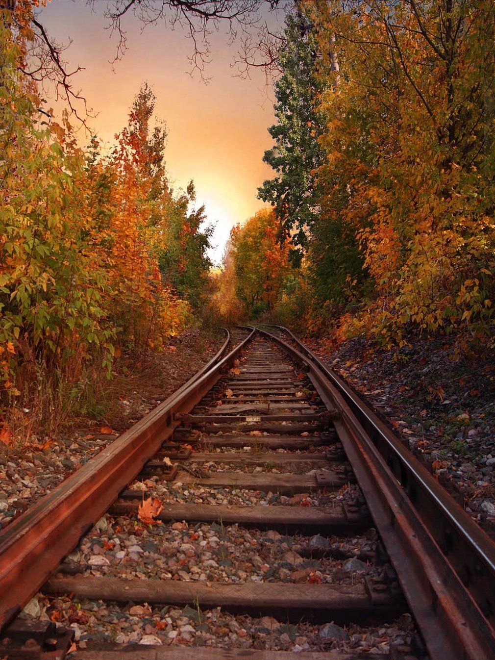 Railway Photography Background Countryside Autumn Scenery Forest Trees  Outdoor Nature View Fall Scenic Photo Backdrops for Studio