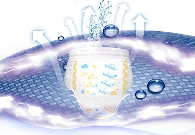 lowest price of pampers pants large