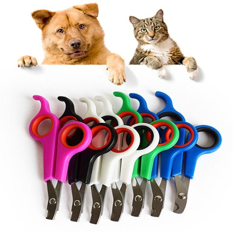 high quality pet supplies