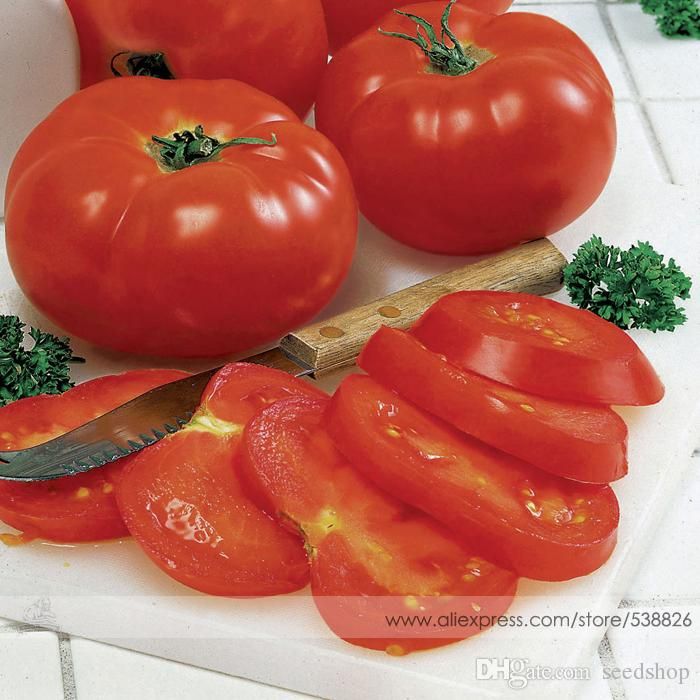 100 pcs//bag Super Rare Red Giant Competition Russian Heirloom Tyazeloves Tomato