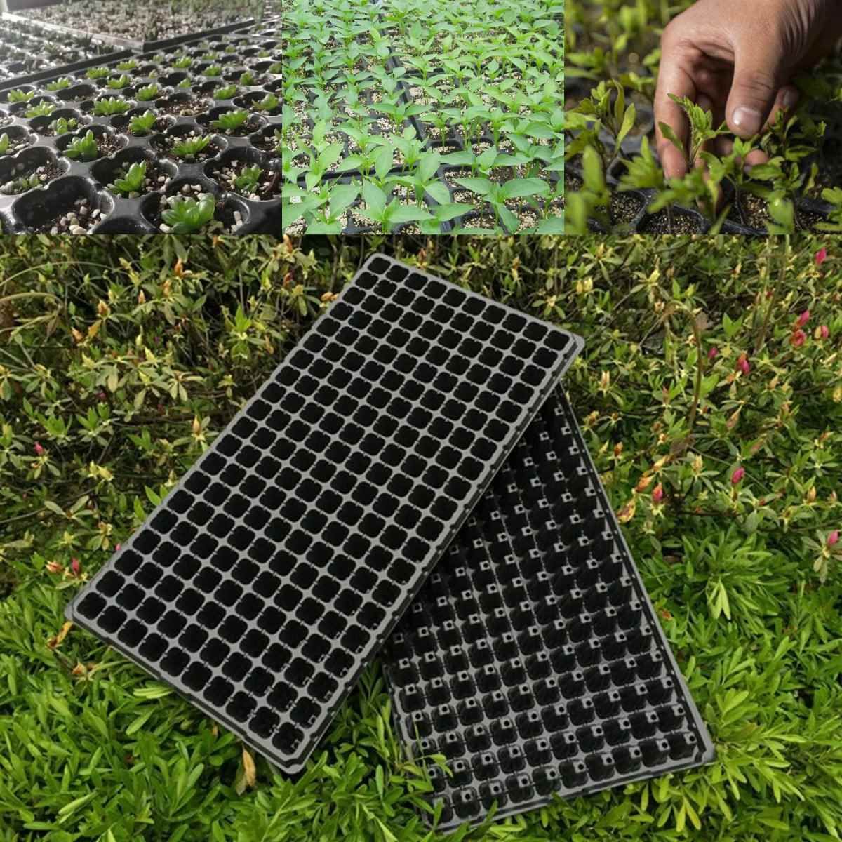 2021 Seedling Starter Tray Black Plastic 200 Cell Seed Germination Plants Propagation Nursery