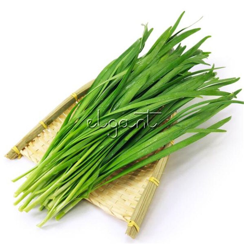 Graines d/'herbe-Ciboulette Ail 500 graines