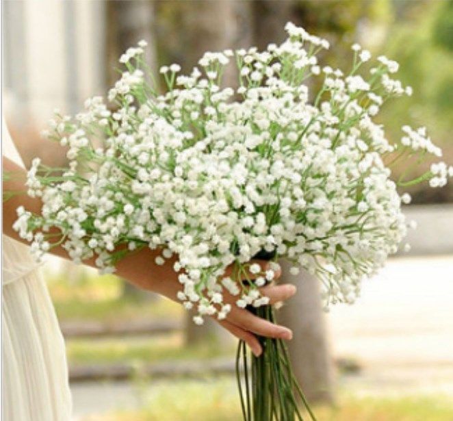 Gypsophila Babys Breath Artificial Fake Plastic Flowers Plant Soupir De Bebe La Gissofila Home Wedding Decoration Dhl Jh001 From China Decorative Flowers Wreaths Seller Ehomecenter Dhgate Com