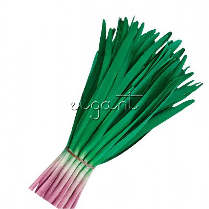 Graines d/'herbe-Ciboulette Ail 500 graines