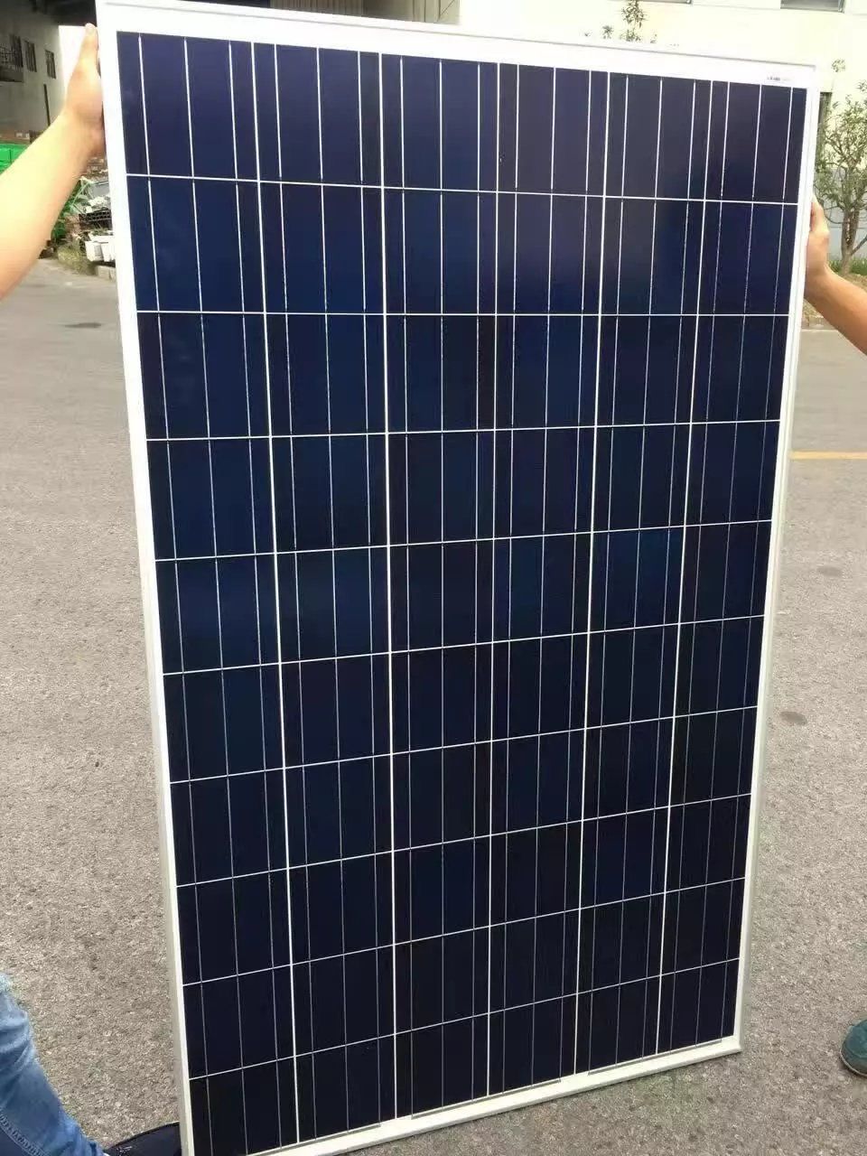 2021 250W Solar Panel|250W Poly Solar Panel|Solar Power For Home Used