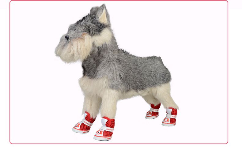 dog paw protection