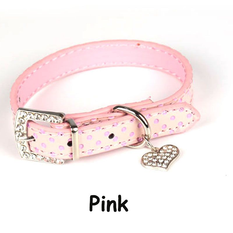 cute puppy collars and leashes