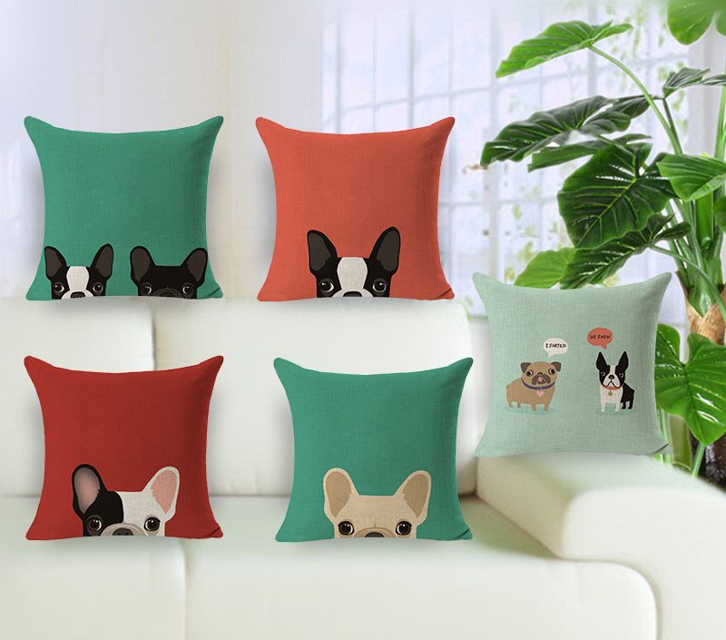 minimalist cushions cat