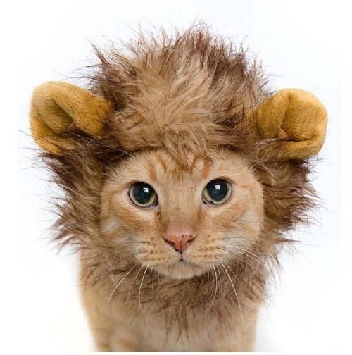 Acheter Chapeau Pour Chiens Chats Emulation Lion Cheveux Mane Oreilles A Tete Robe Automne Hiver Up Costume Silencieux Echarpe Pour Animaux Animaux Chapeaux G846 De 40 31 Du Yuanjiu168 Fr Dhgate Com Acheter Chapeau Pour Chiens Chats Emulation Lion Cheveux Mane Oreilles A Tete Robe Automne Hiver Up Costume Silencieux Echarpe Pour Animaux Animaux Chapeaux G846 De 40 31 Du Yuanjiu168 Fr Dhgate Com