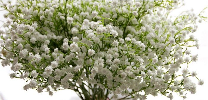 Acheter Pas Cher Gypsophila Babys Respiratoire Artificielle Faux Plastique Fleurs Plante Soupir De Bebe La Gissofila Maison Decoration De Mariage Dhl Jh001 Du 0 Fr Dhgate