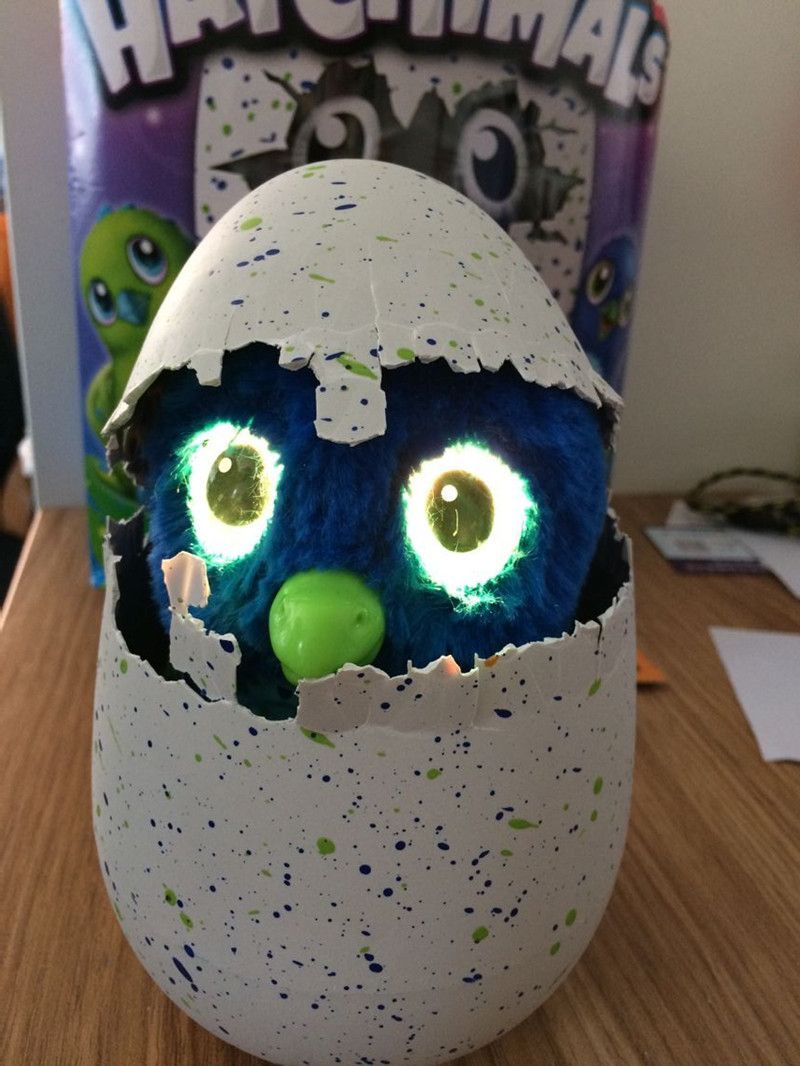 most popular hatchimals