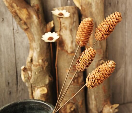 30x Small Natural Dried Pine Cones In Bulk Dried Flowers for Christmas Decor