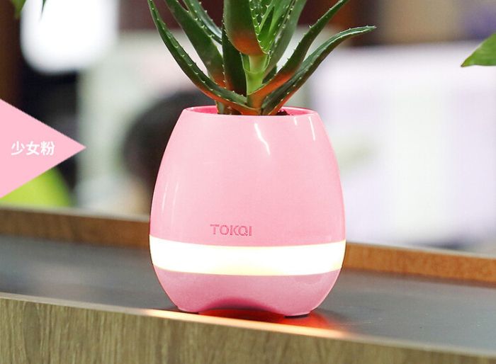 tokqi smart music flowerpot