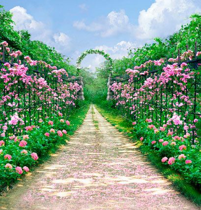 5X7ft Photography Backdrop Spring Photo Backdrops Blue Sky Pink Flowers Background for Photo Studio Photography 5X7ft Photography Backdrop Spring Photo Backdrops Blue Sky Pink Flowers Background for Photo Studio Photography