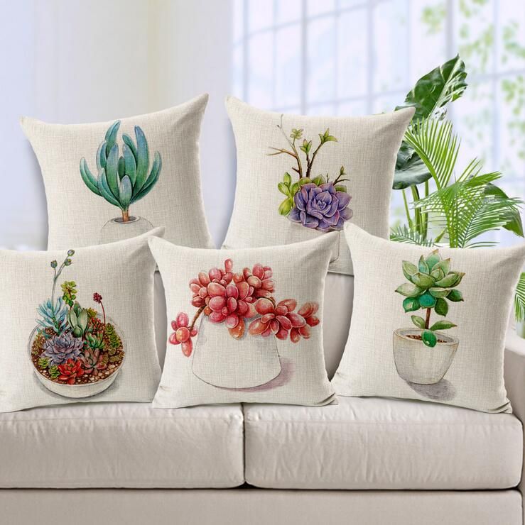 succulent cushion