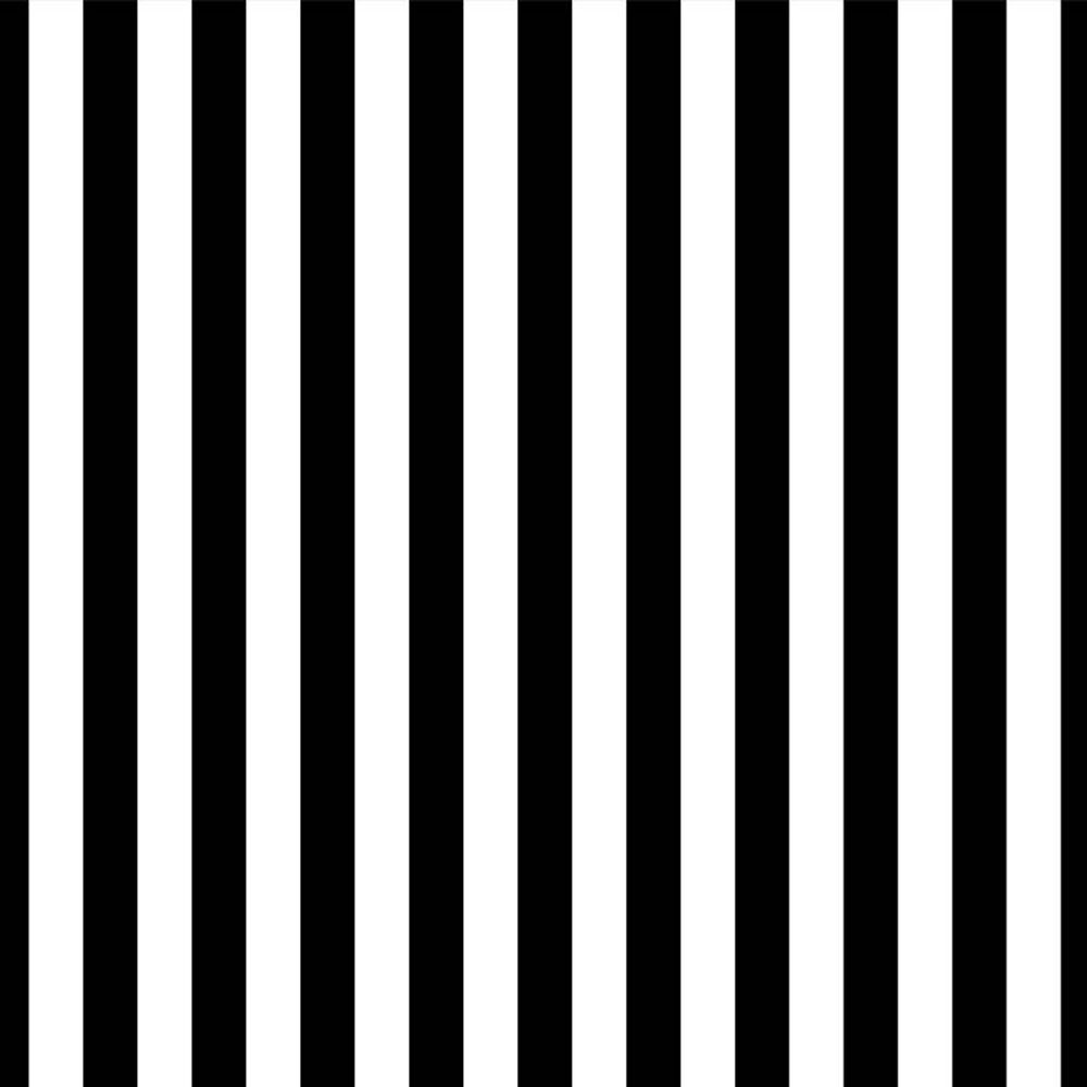 Black and White Striped Backdrop for Photography Vertical Stripes Studio  Photo Booth Background Vinyl Photographic Wallpaper