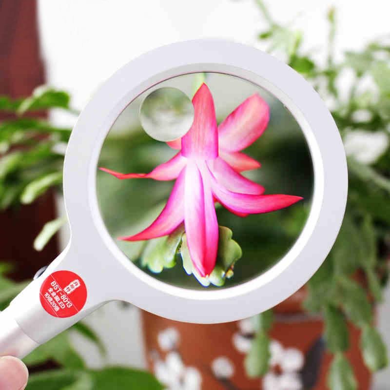 loupe grossissante 10 fois